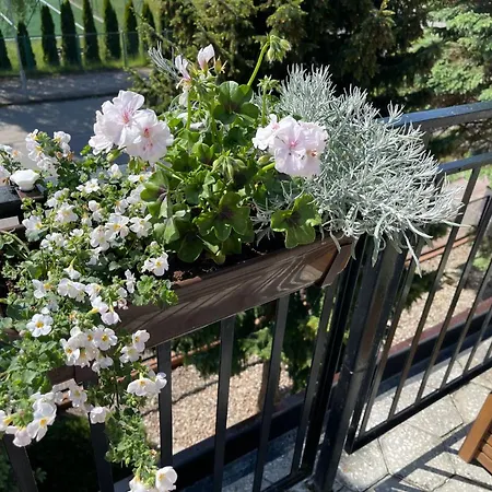 Arpol * Ustronie Morskie